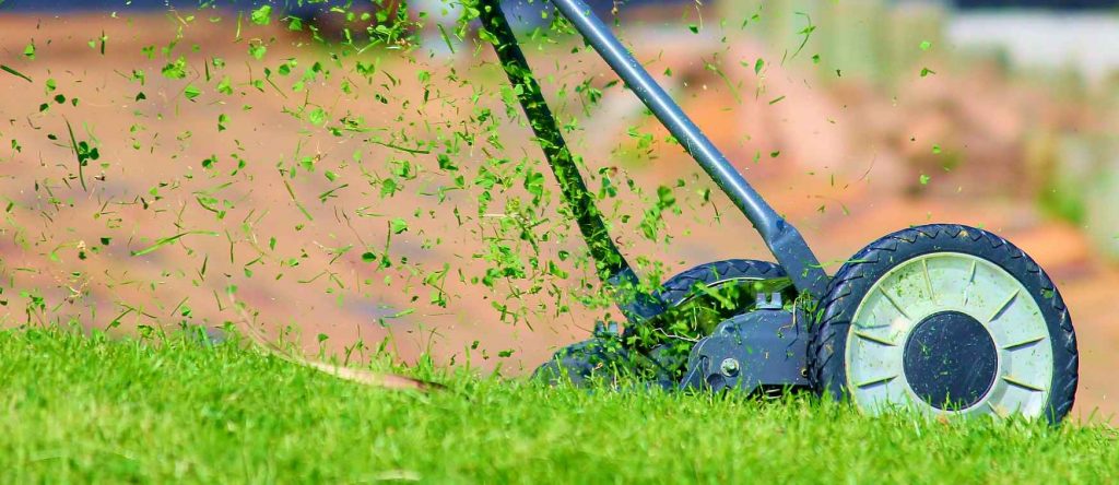 garden maintenance services