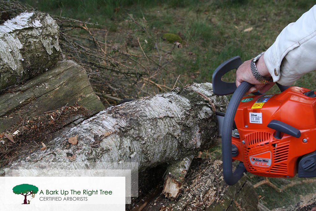 Tree Removal