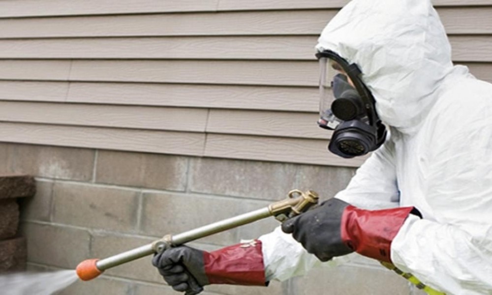 Pest-Control-Adelaide-Hills