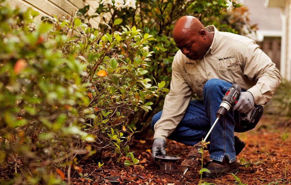 The Perfect Time to Do a Termite Control Job in Your House