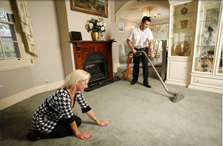 Look for professional carpet cleaning firms