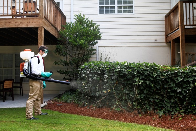 Why to Hire a Pest Control Melbourne Company? – The Benefits