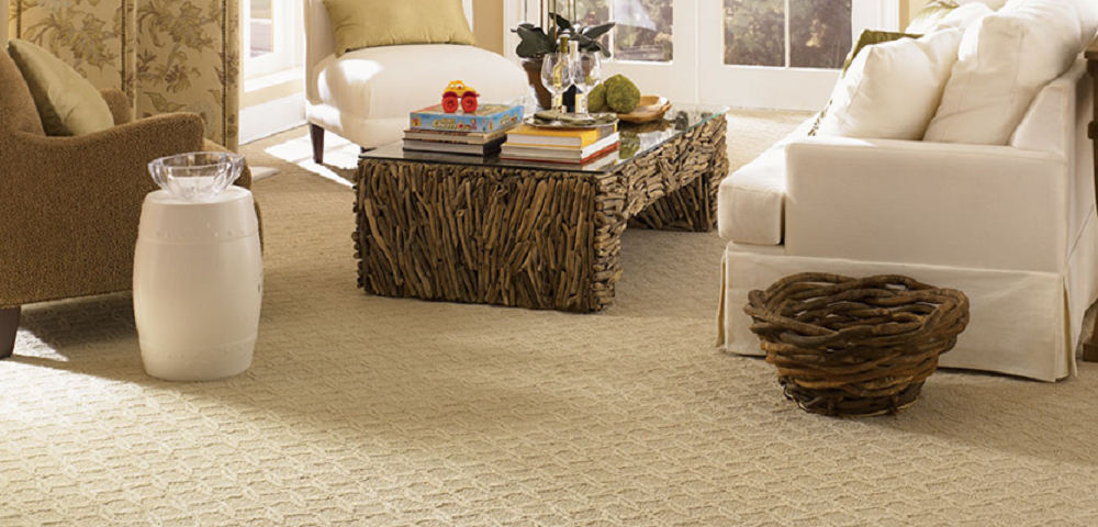 Some important information about Carpet Cleaning