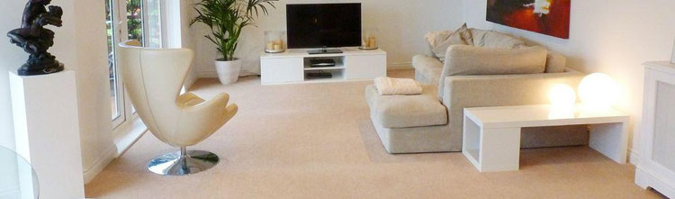 Things You Need to Know about Carpet Cleaning Melbourne