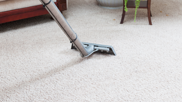 carpet cleaning diamond creek