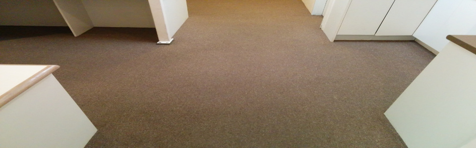 Reasons to Hire a Carpet Cleaning Service