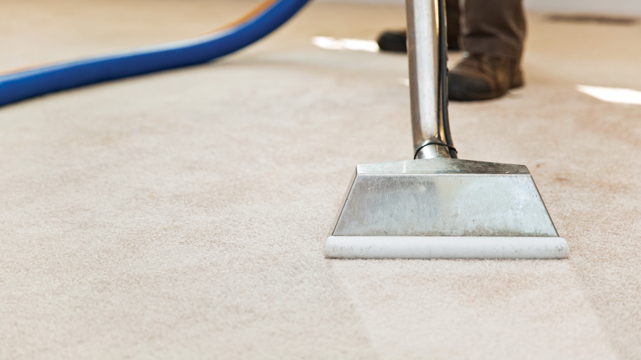 Why You Need Professional Carpet Cleaning Service: Know Benefits?