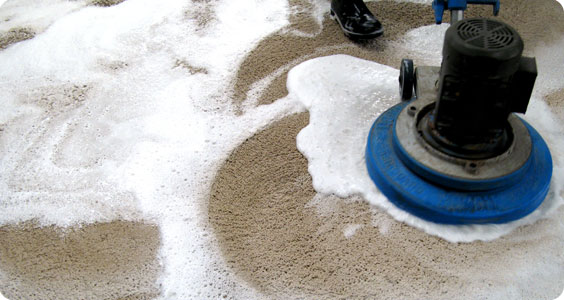 Benefits of Hiring Professional Carpet Cleaning Perth Company