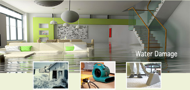 Finding Difficult To Handle Water Damage Problems At Your Place? Contact Carpet Water Damage Melbourne