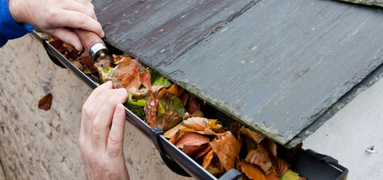 Gutters Cleaning and Repairs