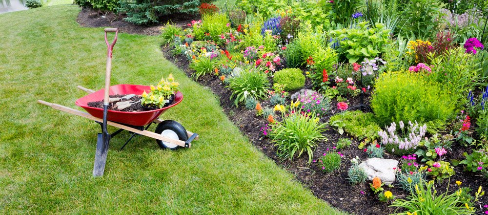 garden maintenance melbourne eastern suburbs