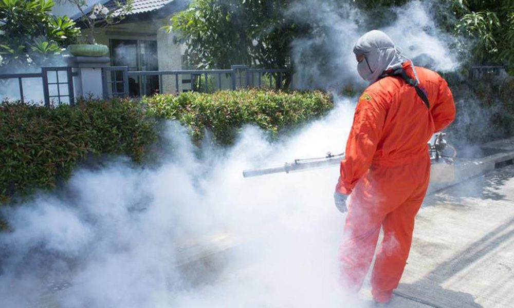 Why Pest Control Services Are Considered A True Necessity?