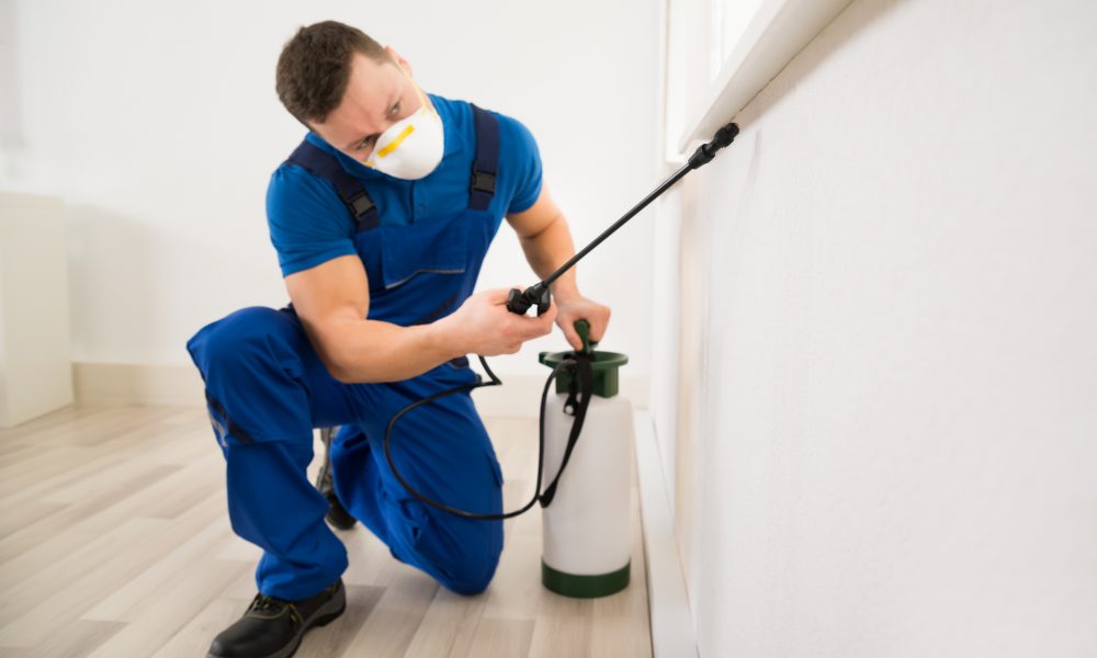 Pest Control Melbourne