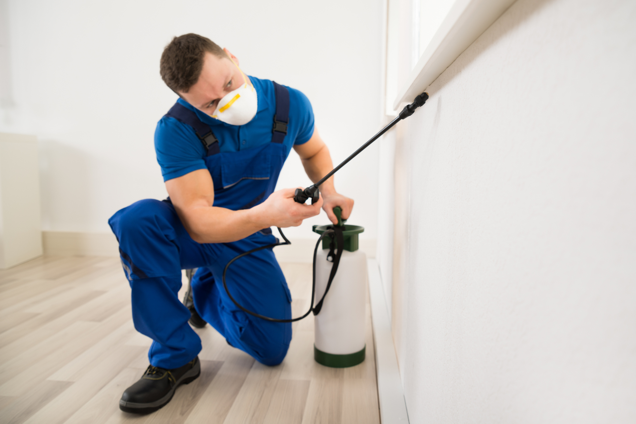 a-clean-up-surrounding-with-best-pest-control-melbourne-webfarmer