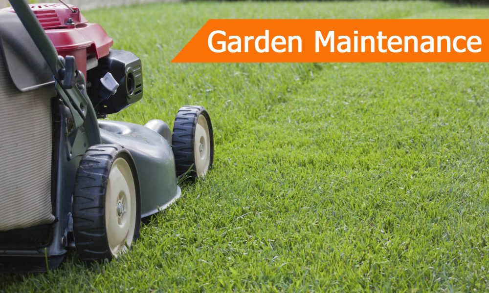 Who provides the best service for garden maintenance in Melbourne?