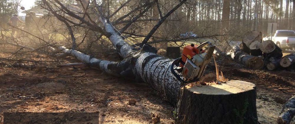 Tree Cabling as well as Bracing– Making sure a tree makes it through the tornado