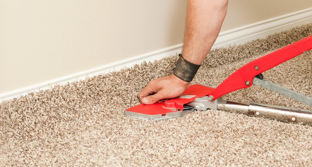 Carpet Cleaning Adelaide