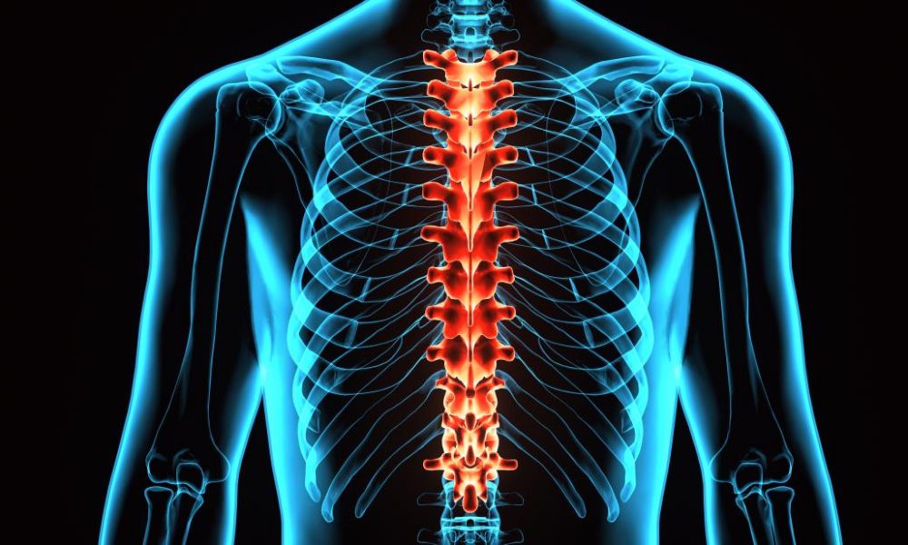 How Will You Identify The Best Spine Treatment Company?