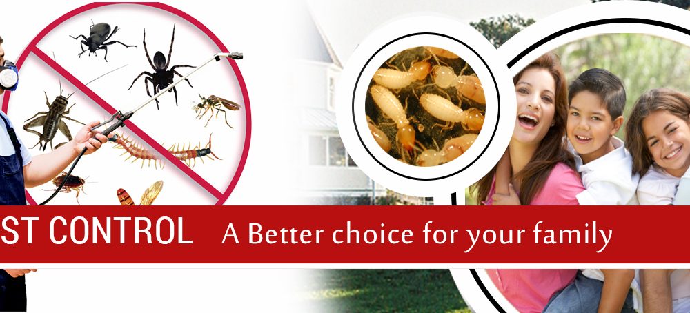 Local Pest Control Melbourne