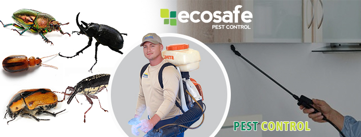 Electronic Pest Control System