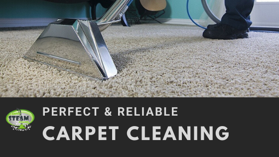 Carpet Cleaning Templestowe