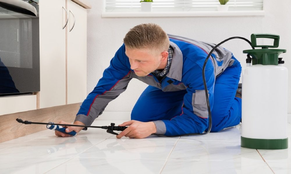 Pest Inspection traralgon