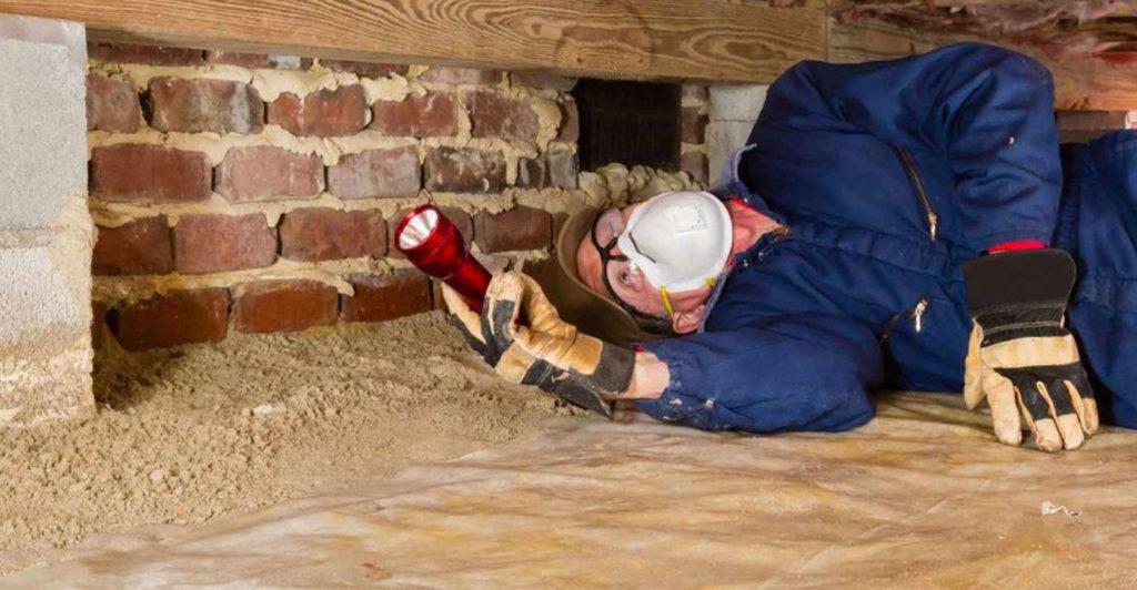 termite inspection Melbourne