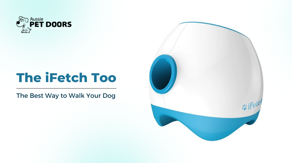 The iFetch Too: The Best Way to Walk Your Dog