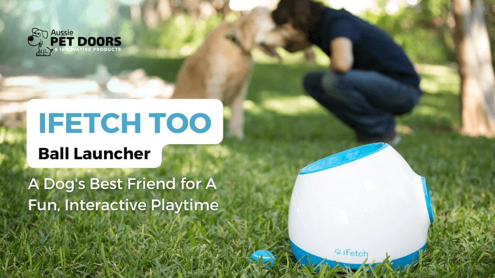 IFetch Too Ball Launcher