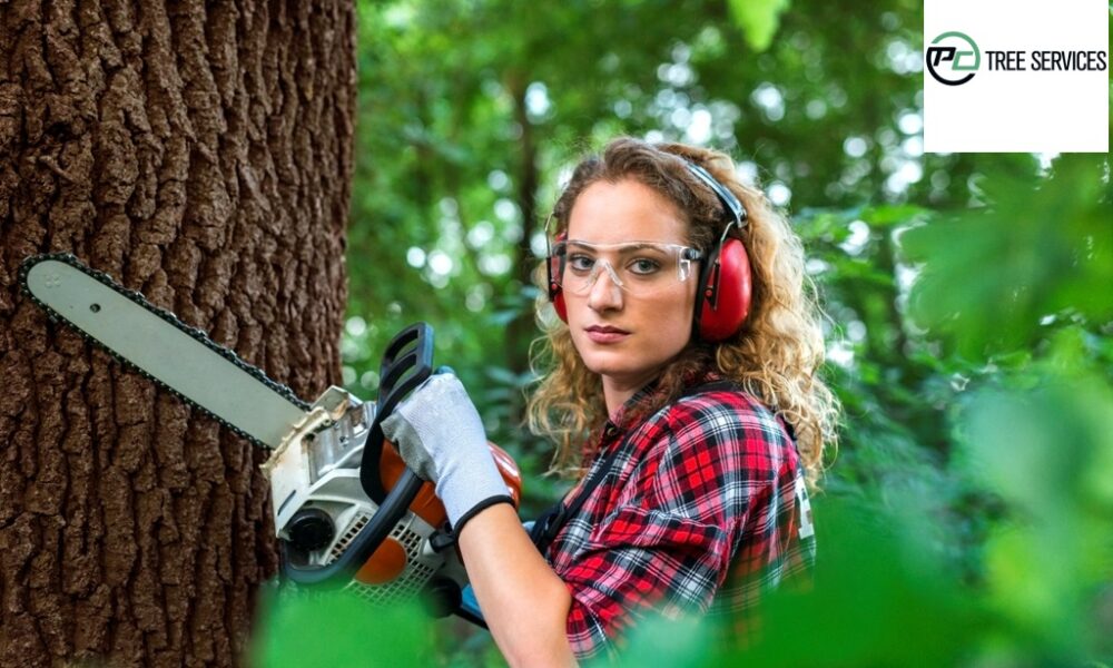 The Top 5 Indices That Emergency Tree Removal Is Necessary