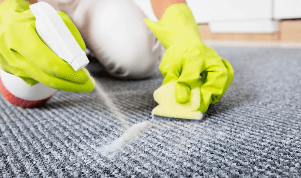 How To Tackle Stubborn Stains During End Of Lease Cleaning?