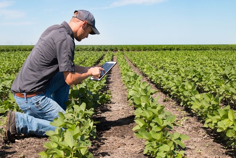 Maximizing Profits With Accurate Farm Accounting