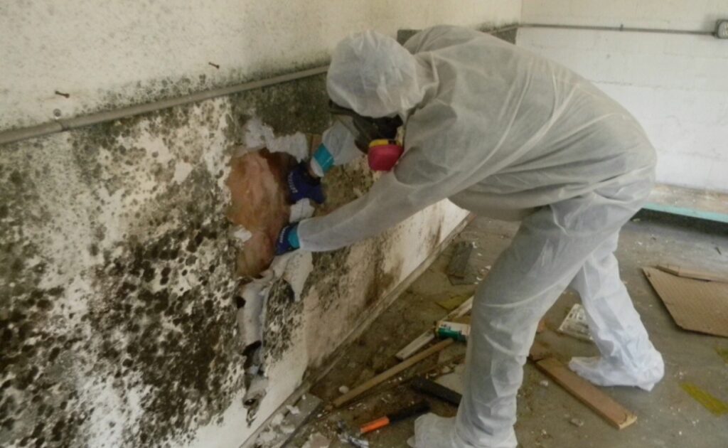 asbestos removal